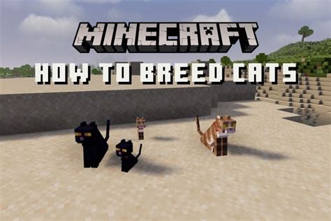 How To Breed Cats In Minecraft 2022 Beebom