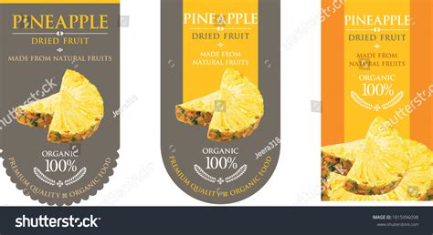 Set Vector Label Pineapple Dried Stock Vector Royalty Free 1815996098