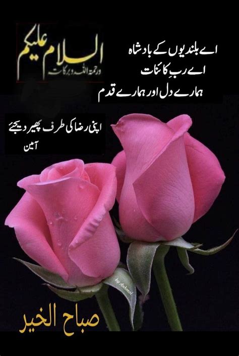 Pin By Shaheen Perwaz On Subha Bakhair Good Morning Flowers 