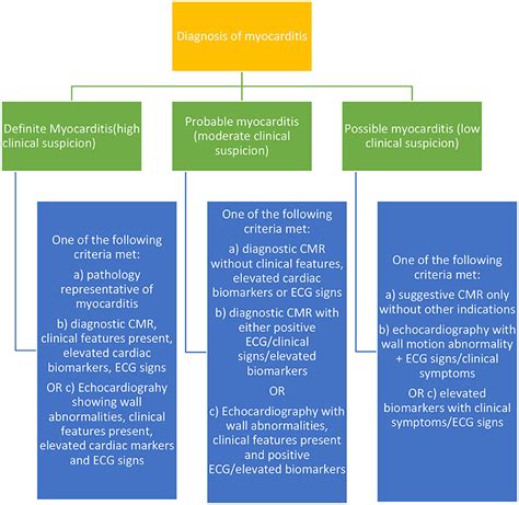 Frontiers Cardiotoxicity Induced By Immune Checkpoint Inhibitor The