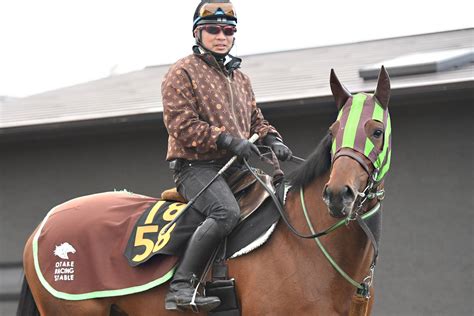 【pogマル秘週報】ルージュバックを母に持つ良血・ブラーバックが初陣 遅いデビューは〝規定路線〟牝馬戦線を追撃だ！ 競馬ニュース・特集なら