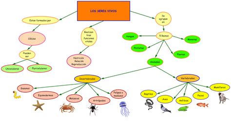 Los Seres Vivos Mapa Conceptual De Los Seres Vivos Kulturaupice Porn