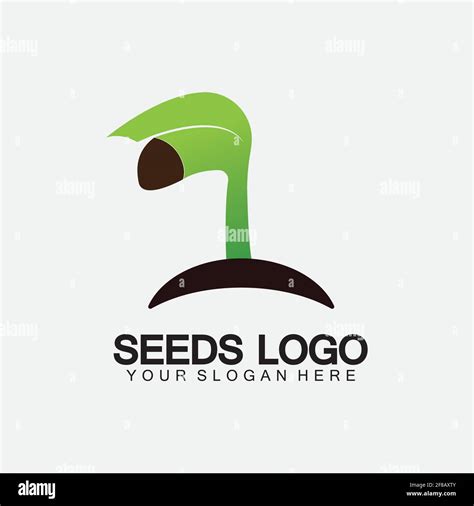 Plant Seeds Logo Concept Template Vector Growing Seed Logo Seed Grow