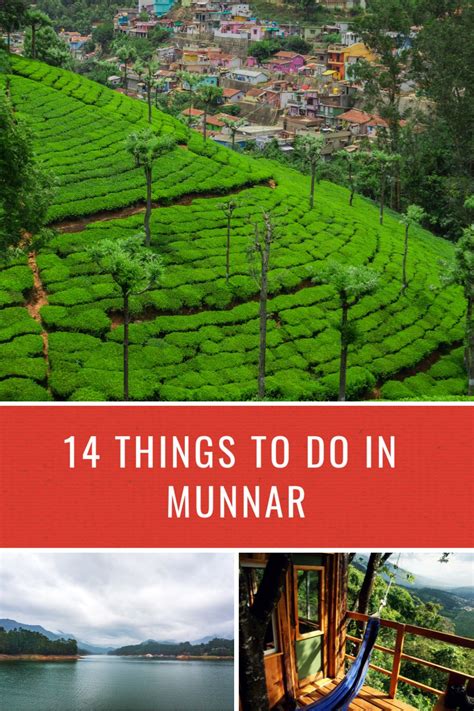 Top 14 Things You Must Do In Munnar Artofit