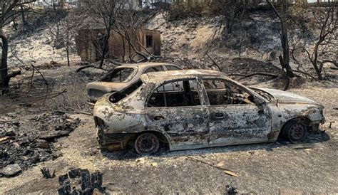 Waldbrände auf Rhodos toben weiter Tausende fliehen Startseite