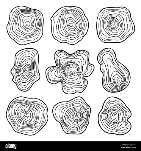 Tree Rings Print