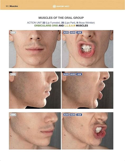 8teenxxx Uldis Zarins Anatomy Of Facial Expression Exonicus English