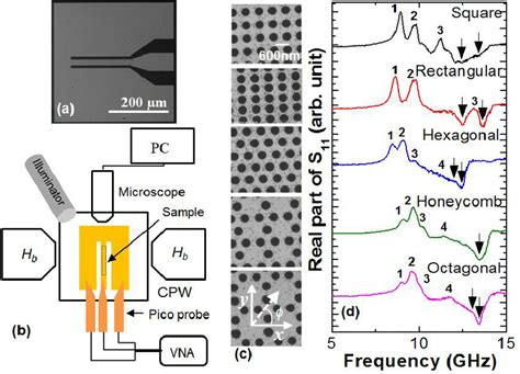 A Scanning Electron Micrograph Of A Cpw Structure B Schematic Of