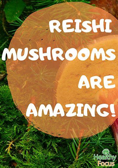 8 Proven Reishi Mushroom Benefits - Healthy Focus