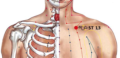 ST 13 Acupuncture Point Qihu Or Stomach 13 PeakMassager