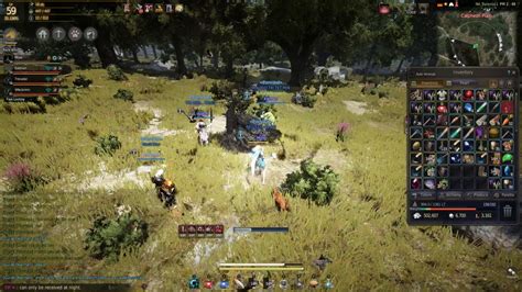 Black Desert Boss Awakened Dim Tree Spirit Lvl Youtube