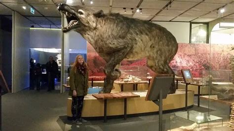 Andrewsarchus Dinosaurs Pictures And Facts