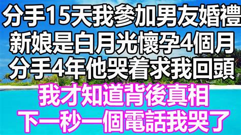 分手15天我參加男友婚禮，新娘是白月光懷孕4個月，分手4年他哭着求我回頭，我才知道背後真相，下一秒一個電話我哭了 溫情人生 深夜讀書 爽文 幸福人生 婚姻 情感故事 愛情 顧亞男 為人處世