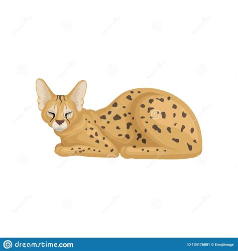 Flat Vector Design Of Sleeping African Serval Brown Wild Cat With