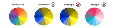 How Do We See Color The Science Behind Color Vision 2023 • Colors Explained