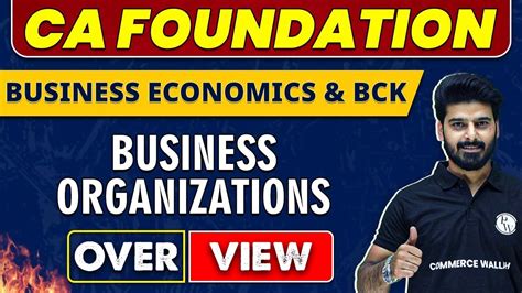 Business Organizations Overview Ca Foundation Economics Bck