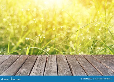 Wood Table On Grass Background Stock Image Image Of Outside Board 100410977