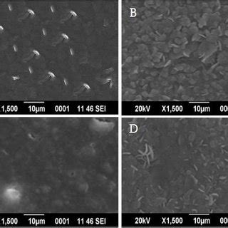 SEM Images Of Mixed Ligand Metal Complexes A Zn II B Co II