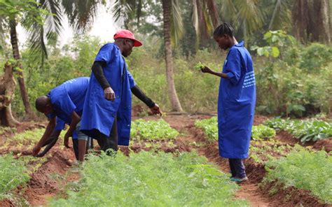 Bénin Une formation agro pastorale au service des anciens malades