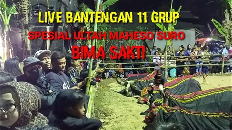 Live Bantengan Grupsepesial Ultah Maheso Suro Bimasakti Youtube