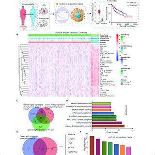 Screening Of Related Genes For Predicting Immune Microenvironment In