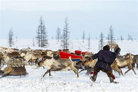 Indigenous Russia - Discover Russia's Indigenous Nomadic Tribes Bering ...