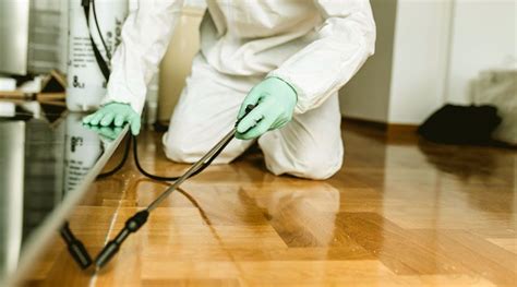 8 Benefits Of Hiring A Professional Pest Control Company