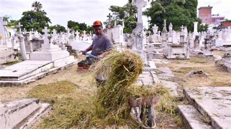 Diario Del Yaqui Trabajan En Retiro De Maleza En Zonas Enmontadas De