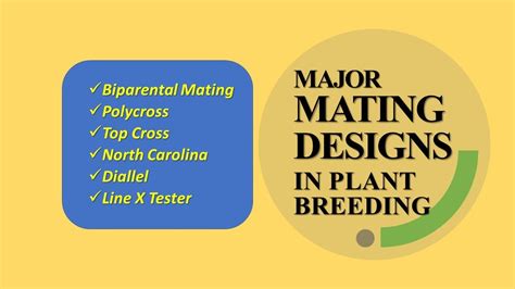 Mating Design In Plant Breeding Biparental Poly Top Cross North