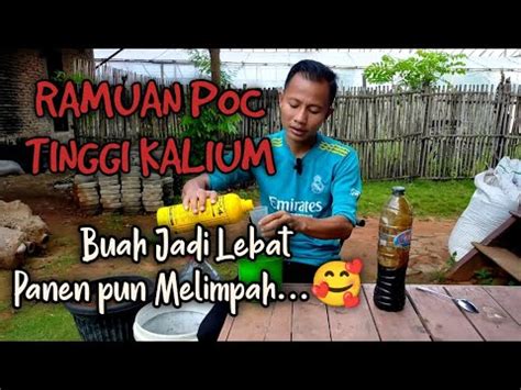 Cara Mudah Membuat Pupuk Kalium Organik Cair Dari Sabut Kelapa Kalium