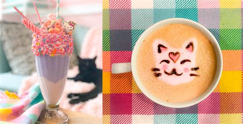 48 Kawaii Cat Cafe Konsep Spesial