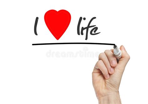 I Love Life Stock Illustration Illustration Of Fulfilled 33589591