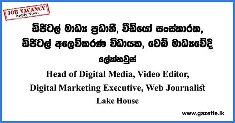 Head Of Digital Media Video Editor Digital Marketing Executive Web