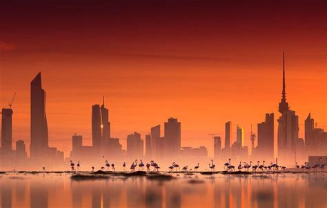 Kuwait Wallpapers Top Free Kuwait Backgrounds Wallpaperaccess