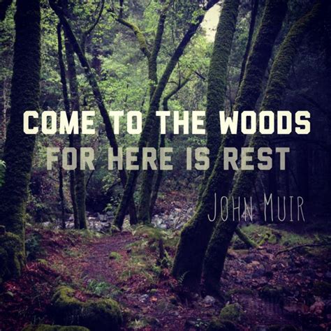 Muir Monday Come To The Woods For Here Is Rest Socal Hiker Nature