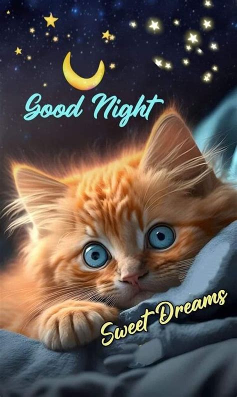 Pin By Edith Goodwin On Good Night In Good Night Cat Good Night