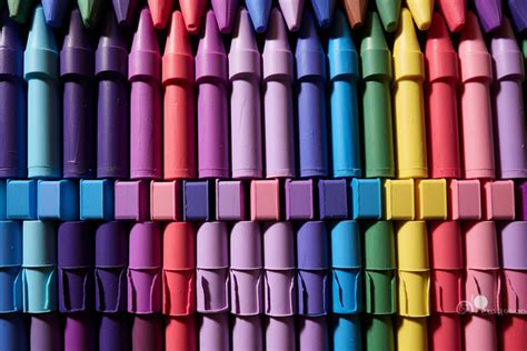 Colorful Crayola Crayon Lays Out For Each Of The Crayons To Be Arranged