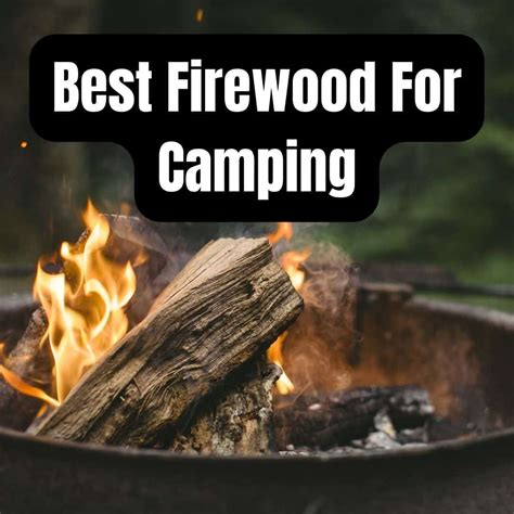Best Firewood For Camping Camping Tips From Camping Forge