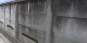 Cunt Flashing Action With Lovely Asian Brunette Getting Pulled Into Sharking Affair Tnaflix