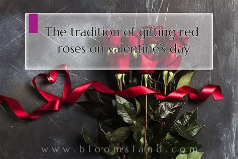 The Tradition Of Ting Red Roses On Valentines Day Explored Blooms