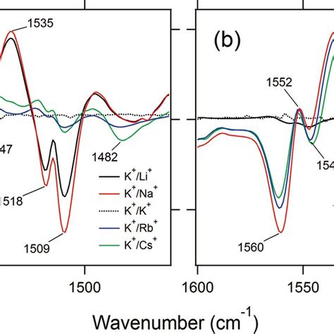 ATR FTIR Difference Spectra Of KcsA In The Amide I Region 1750 1580 Cm