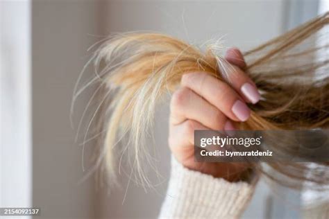 254 Bad Hair Salon Stock Photos, High-Res Pictures, and Images - Getty Images