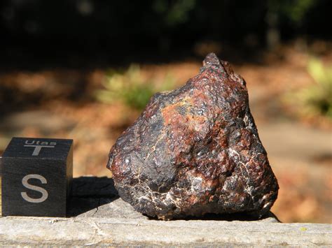 What Do Meteorites Look Like Meteorite Gallery