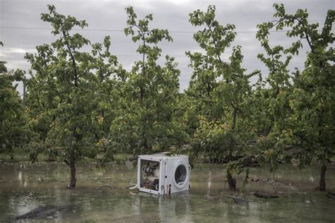 Che cosa ci dice la Giornata della biodiversità nel pieno della tragica