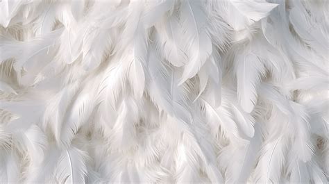 classic swan feathers vintage  background   white feathers