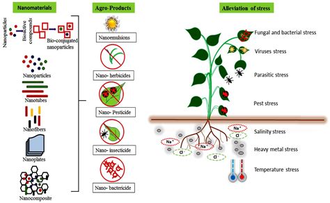 Biogenic Nanoscale Agro Materials Encyclopedia Mdpi