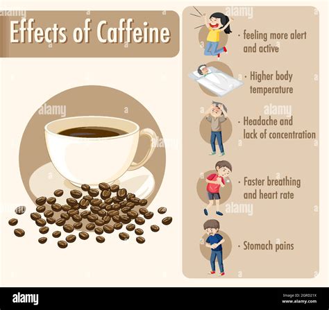 Effects Of Caffeine Information Infographic Stock Vector Image And Art Alamy