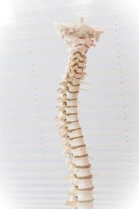 What Causes Misalignment Of Spine Subluxation Elite Spine Centres