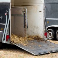 Landes Accident Entre Un Camion Transportant Des Chevaux Et Une