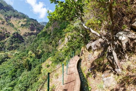 Madeira Reach The Sun Hike Levada Nova Moinhos Ponta Do Sol Klook